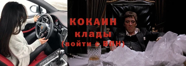 индика Арсеньев