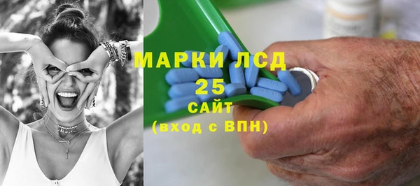 индика Арсеньев