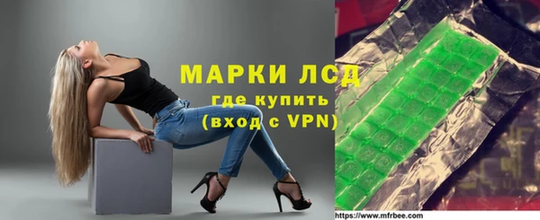 индика Арсеньев