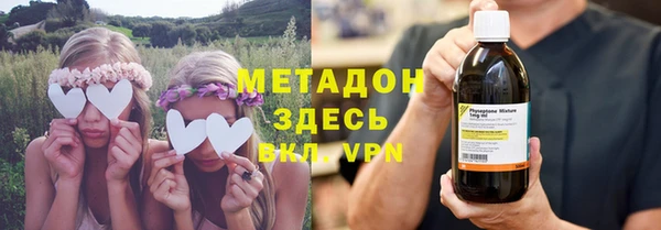 индика Арсеньев