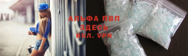 индика Арсеньев