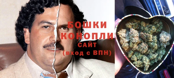 индика Арсеньев