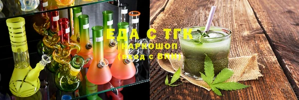 индика Арсеньев
