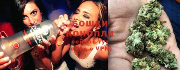 индика Арсеньев