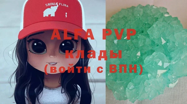 индика Арсеньев