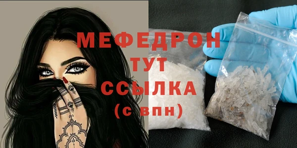индика Арсеньев