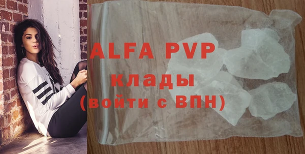 индика Арсеньев