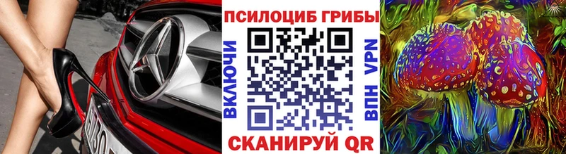 Псилоцибиновые грибы Psilocybine cubensis  Купить закладки  Черноголовка 